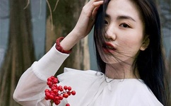 中国达人秀下载